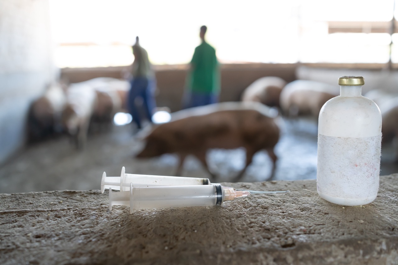 mRNA Vaccines Approved for Pigs—Taking Mystery Meat to New Levels